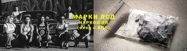 индика Карталы
