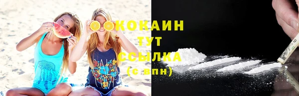 индика Карталы
