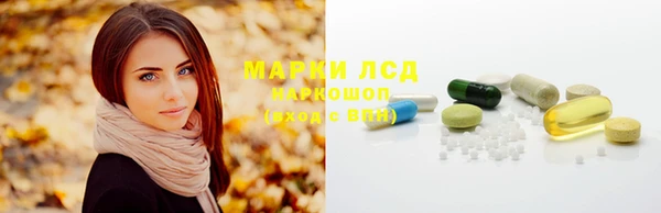 стаф Карпинск