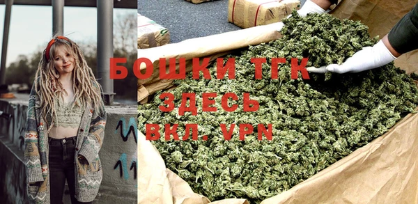 индика Карталы