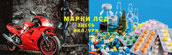 стаф Карпинск