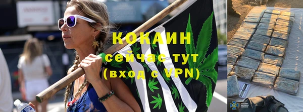 стаф Карпинск